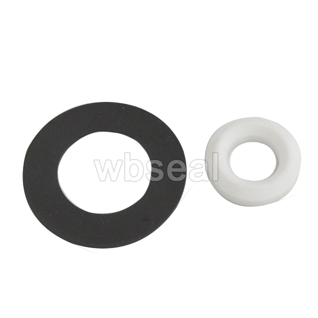 PTFE Gasket