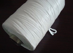 Pure PTFE Yarn